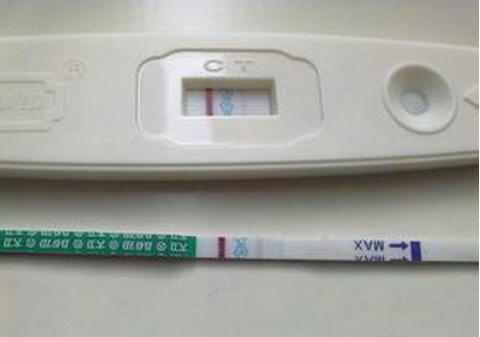 孕妈代妈应聘机构